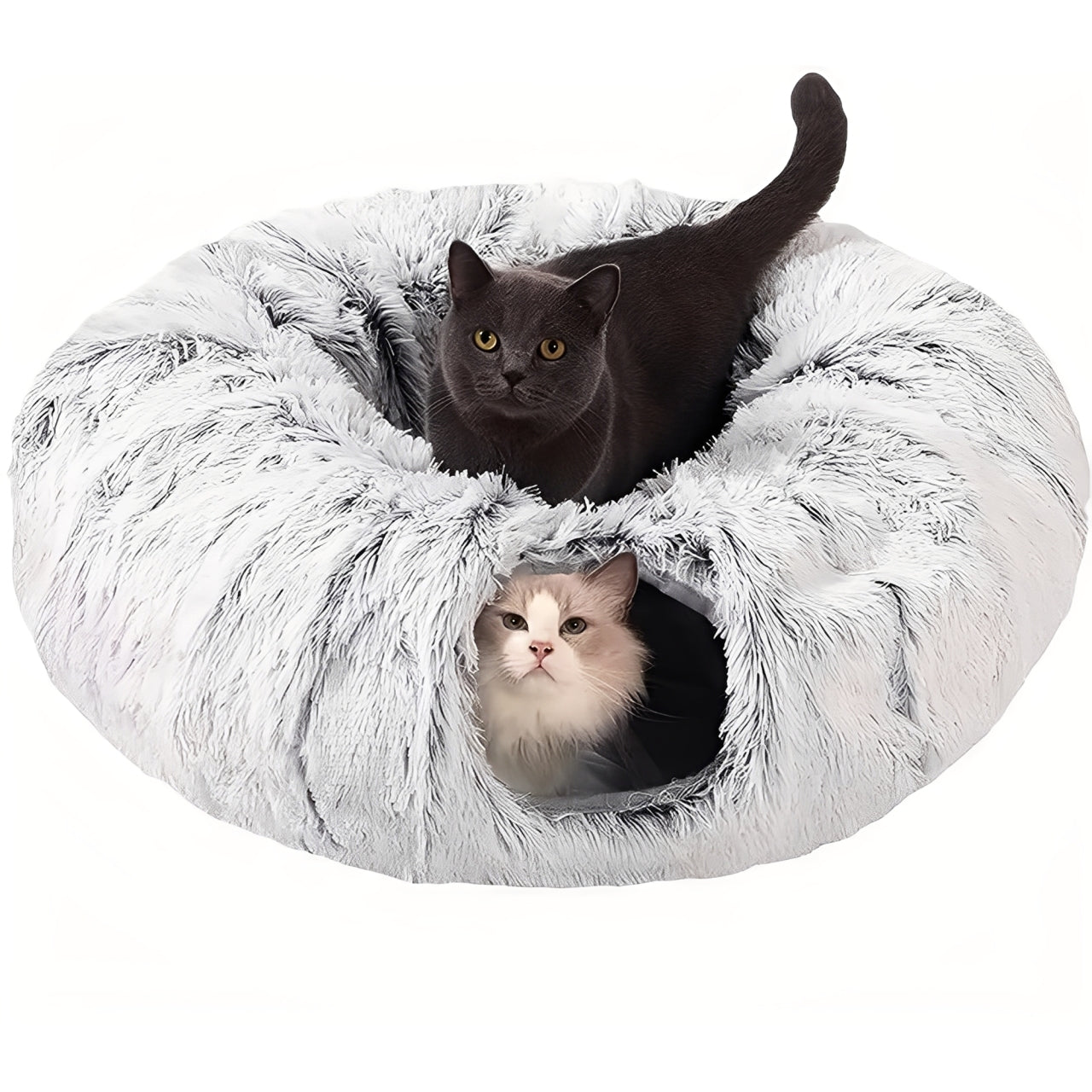 🐾 Túnel Refugio Invernal  para Gatos 2 gatos en 1 🐱